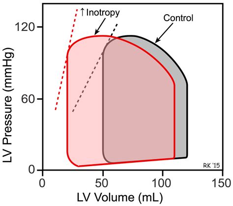 pressure volume loop increased contractility.